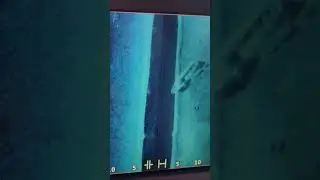 ИСКАЛ РЫБУ, А НАШЕЛ ЛОДКУ!!! #shorts #fishing #рыбалка #рыбалка2024