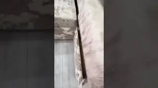 Кухонный уголок Моника номер 6