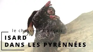 CHASSE À L'ISARD