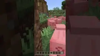 ПОДПИШИСЬ ИЛИ ТЕБЯ СЪЕСТ СВИНЬЯ!🐷 