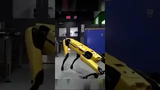 Dog Robot | Secret mission