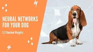 Neural Networks For Your Dog - 3.2 Random Weights