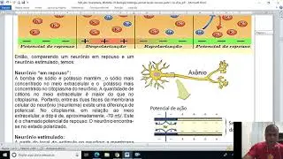 Tecido nervoso Parte 1