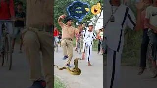 Police aur Chor 