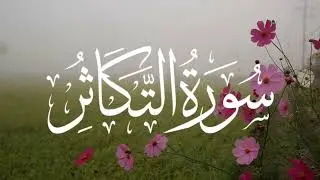 Surah Al-Takasur Summary | Surah Takasur Meaning #quranrecitation #qurantafseer #quran