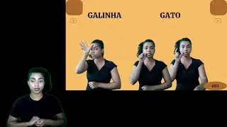 GALINHA
