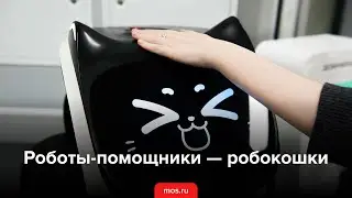 Робокошки в московских больницах