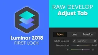 Luminar 18 RAW Develop – Adjust Tab