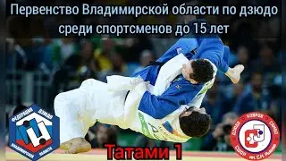 Первенство Владимирской области по дзюдо среди спортсменов до 15 лет(2009-2010г.р.)