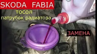 замена антифриза , патрубка радиатора SKODA FABIA