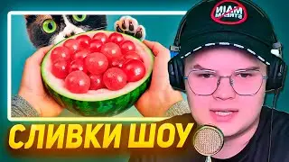 КАША СМОТРИТ СЛИВКИ ШОУ - ЭКСПЕРИМЕНТЫ КОТОРЫЕ НЕЛЬЗЯ ПОВТОРЯТЬ - ОТ 1 ДО 100 УРОВНЯ