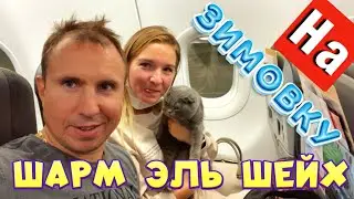 Мороз в Турции! Летим на зимовку в Египет - Шарм эль шейх | Ищем жилье 2021