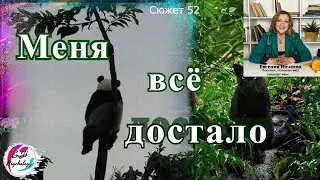 Меня все достало. Как вы мне все надоели!