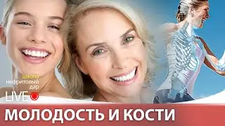 Молодость и кости.