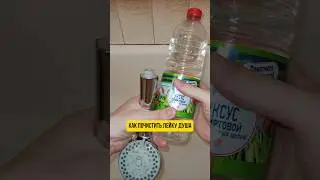 Как очистить душевую лейку внутри 