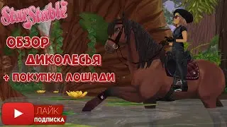 Обзор на Диколесье + покупка лошади в Star Stable Online | Гнедой Андалуз