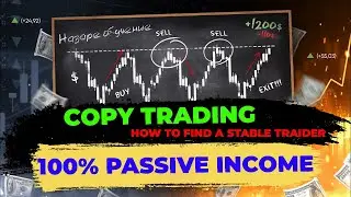 Stable passive income in 2024 Copytrading on BingX and Bybit ✅ How to choose copy trading by results
