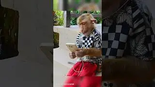 monkey listening music | best funny videos