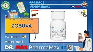 🐶 ZOBUXA Farmaco Veterinario a cosa serve ? - Foglietto Illustrativo 👔 Dr. MAX