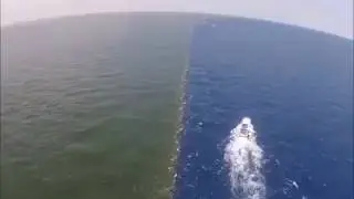 Аллаh создал два моря так, что они могли бы слиться, но Он установил между ними незримый барьер
