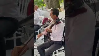 Indi Menden Kus Pervin #закатала #свадьба #той #weddingmusic #wedding