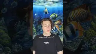поссал в море (прикол тикток)