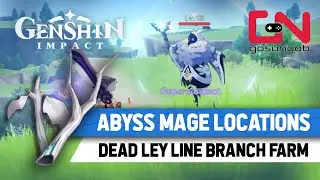 Genshin Impact Abyss Mage Locations -How to Get Dead Ley Line Branch Farm
