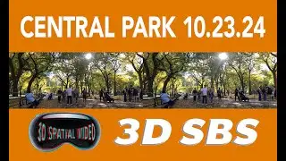 3DNY: Central Park Fall 10/23/2024  (Full 3D SBS Spatial Video)