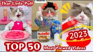 Top 50 Most Viewed Videos 2023🎉 | That Little Puff