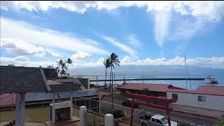 I don't want to delete this clips from my phone 🤓 🌴