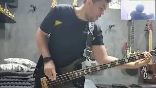 Knock Me Down - Red Hot Chili Peppers (Bass Cover with SPECTOR BASS)