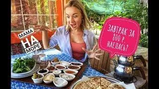 МОЙ первый ТУРЕЦКИЙ ЗАВТРАК деревня Чакырлар Анталья