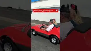 DRIVING a BUMPER CAR! 😎🚗 #custom #modified #california #disney #disneyland #disneyworld #tesla #cars