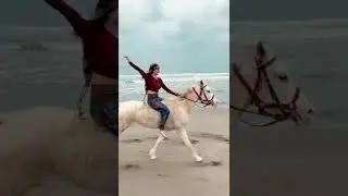 hot girl ride white horse 🐎 amazing horse skills horse running short horse lovers 😍 horse status