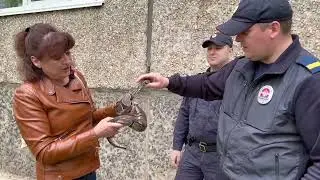 Братск. наши дни.
