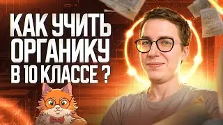 Как учить органику в 10 классе? | Органика с НУЛЯ | Степенин и Дацук