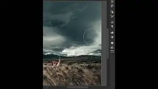 Realistic Sky Replacement 