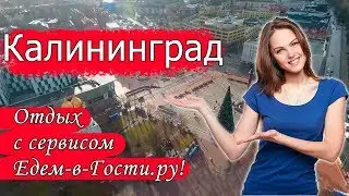 Отдых в Калининграде 2022 с сервисом Едем-в-Гости.ру
