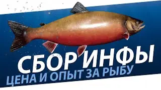 РУССКАЯ РЫБАЛКА 4 - Сбор информации по рыбе / Опыт и Цена