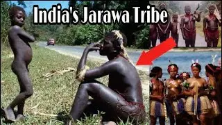 Tribes of Andaman || Jarawa, Sentinelese, Onge Tribe || Part 1 | Dark Ride