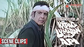 KAPAG LUMABAN ANG API (1987) | SCENE CLIPS 1 | Fernando Poe Jr., Miguel Rodriguez, Rio Locsin