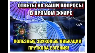 БАЛАНСИРОВКА ВСЕГО ОРГАНИЗМА И САМОПРАВКА В ПРЯМОМ ЭФИРЕ! ВЕБИНАР ОТ ПРУТКОВА ЕВГЕНИЯ - 5