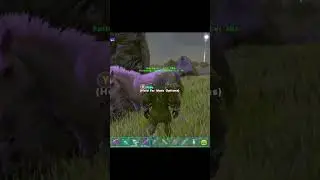 Unicorn 🦄 Tame 