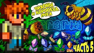 ПИЛОНЫ И ОХОТА НА КОРОЛЕВУ ПЧЁЛ // ТЕРРАРИЯ НА МАСТЕР МОДЕ #5
