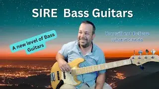 SIRE  Bass Guitars