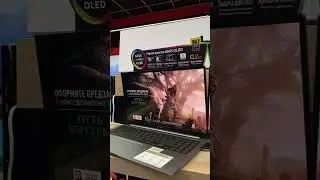 Ноутбук Asus Zenbook 15 OLED