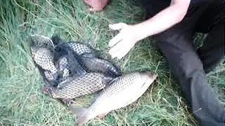 КАК ПОЙМАТЬ КАРПА НА ПЕНОПЛАСТ