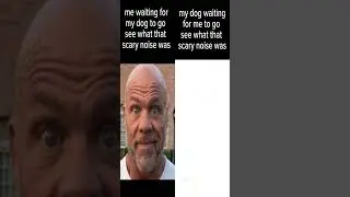 Random Funny Memes 139