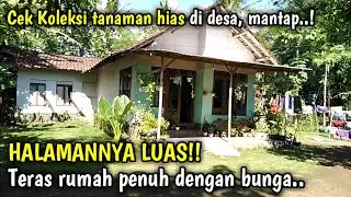 Asri dan sejuk !! Cek koleksi tanaman hias teras rumah di desa