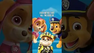 Paw Patrol Names are Low Key Confusing! 🥴 